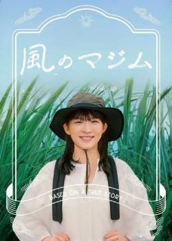 风之真吉姆