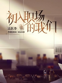 初入职场的我们2·法医季