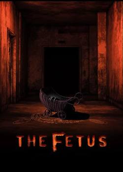 胎儿/The Fetus