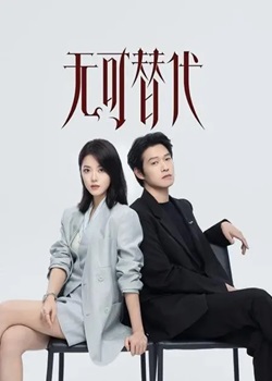 无可替代