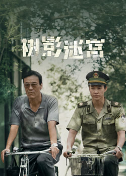 树影迷宫