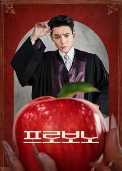 为了公益/프로보노