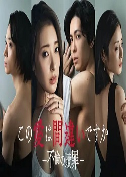 这份爱是错误吗～出轨的赎罪